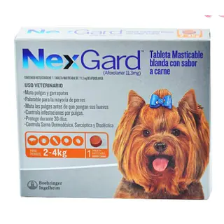 Nexgard Talla S 2- 4 Kilos