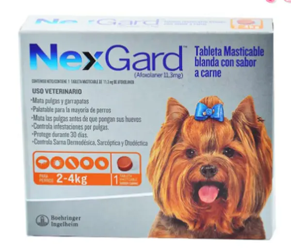 Nexgard Talla S 2- 4 Kilos