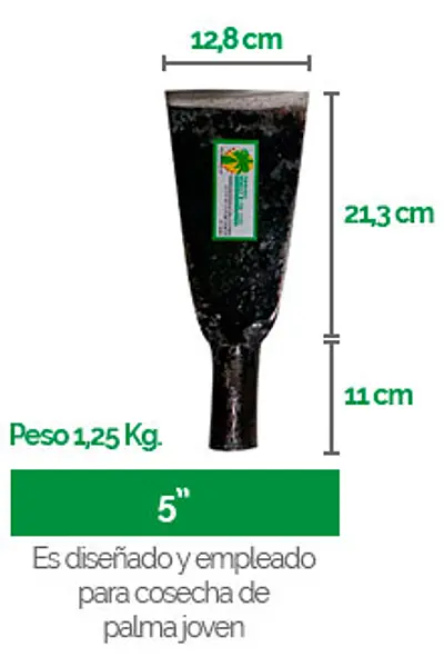 Palin Malayo No. 5