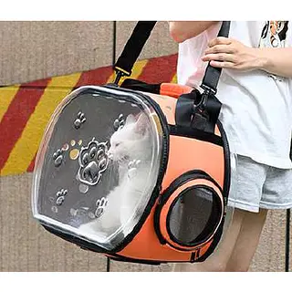 Bolso Transparente Plegable Paw
