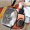 Bolso Transparente Plegable Paw