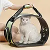 Bolso Transparente Plegable Paw