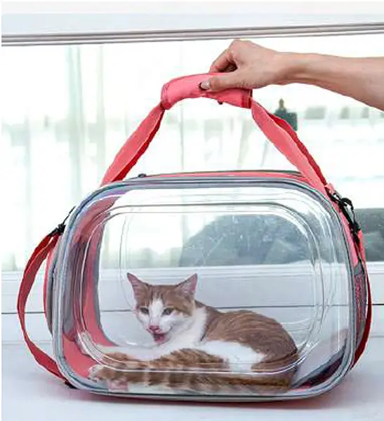 Bolso Transparente Plegable