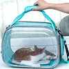 Bolso Transparente Plegable