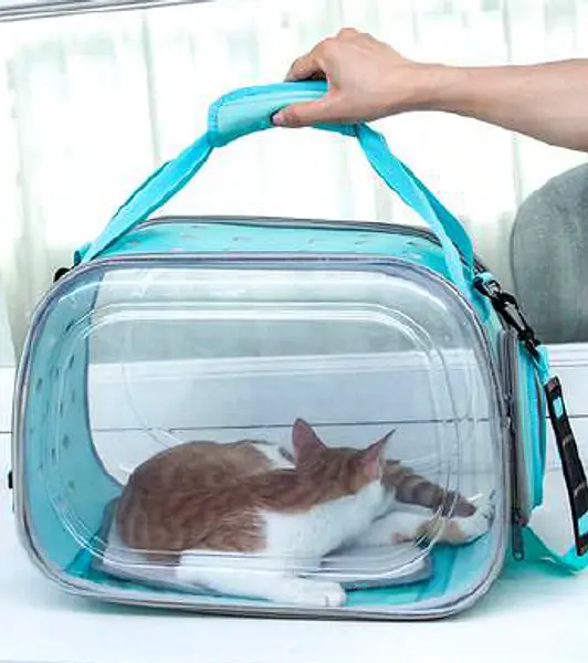 Bolso Transparente Plegable