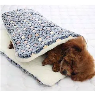 Cama Cojin Con Diseños