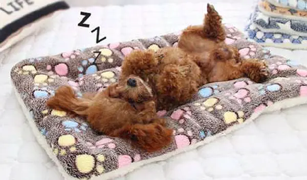 Cama Cojin Con Diseños