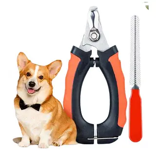 Cortauñas Y Lima Forma Alicate