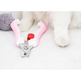 Cortauñas Y Lima En Empaque