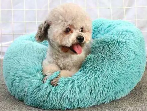 Cama Dona Basica Para Perro