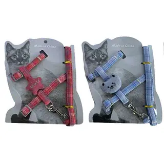 Arnes Gato O Estrella