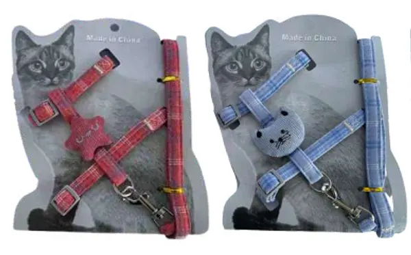 Arnes Gato O Estrella