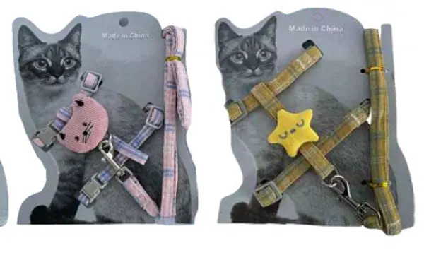 Arnes Gato O Estrella