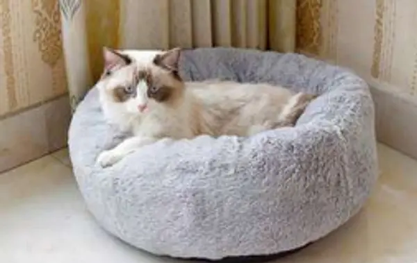 Cama Dona Basica Para Gatos