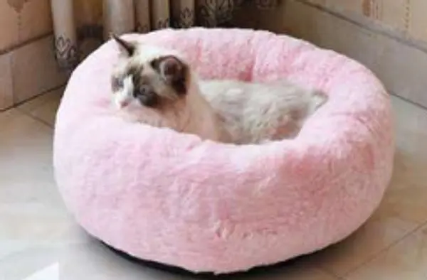 Cama Dona Basica Para Gatos