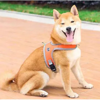 Pechera Maxi Con Traila