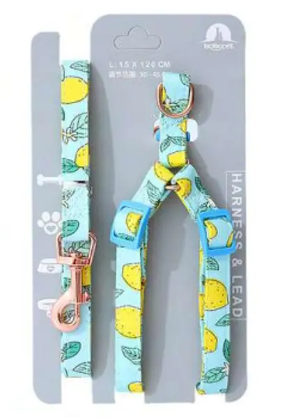 Arnes Y Traila Sweet Fruits