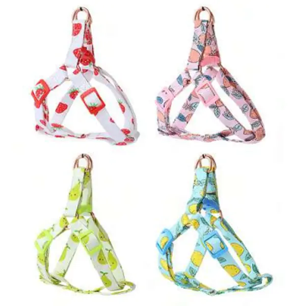 Arnes Y Traila Sweet Fruits