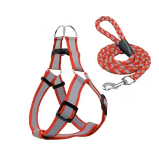 Arnes Y Correa Reflectiva