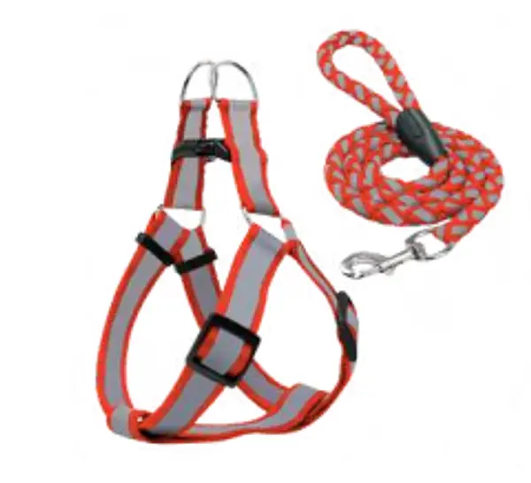 Arnes Y Correa Reflectiva