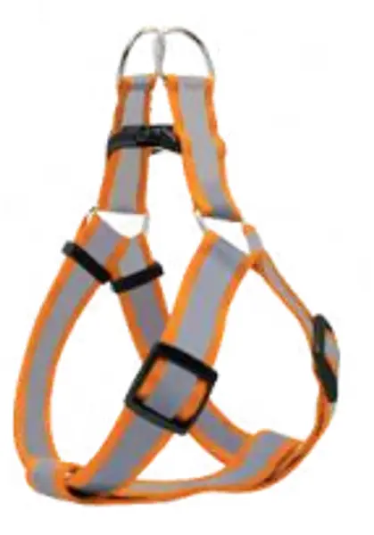 Arnes Y Correa Reflectiva