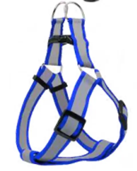 Arnes Y Correa Reflectiva