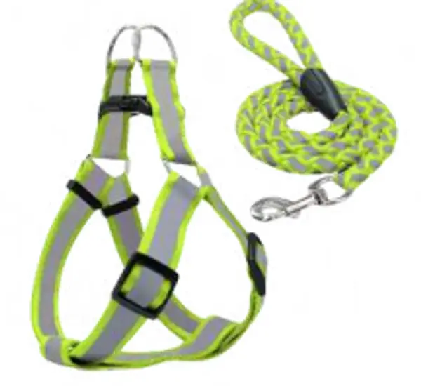 Arnes Y Correa Reflectiva