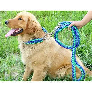 Collar Tipo Ahogo Con Traila Trenzada