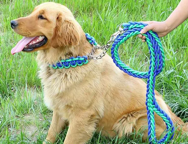 Collar Tipo Ahogo Con Traila Trenzada