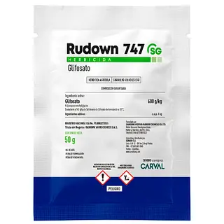 Rudown 747 Sg