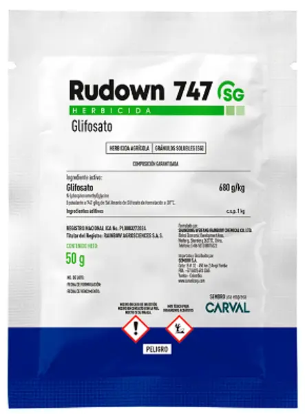 Rudown 747 Sg