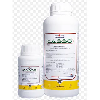Icasso® 240 Ec