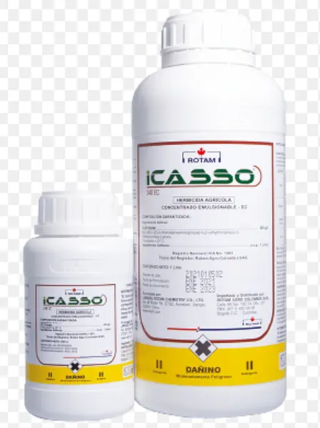 Icasso® 240 Ec