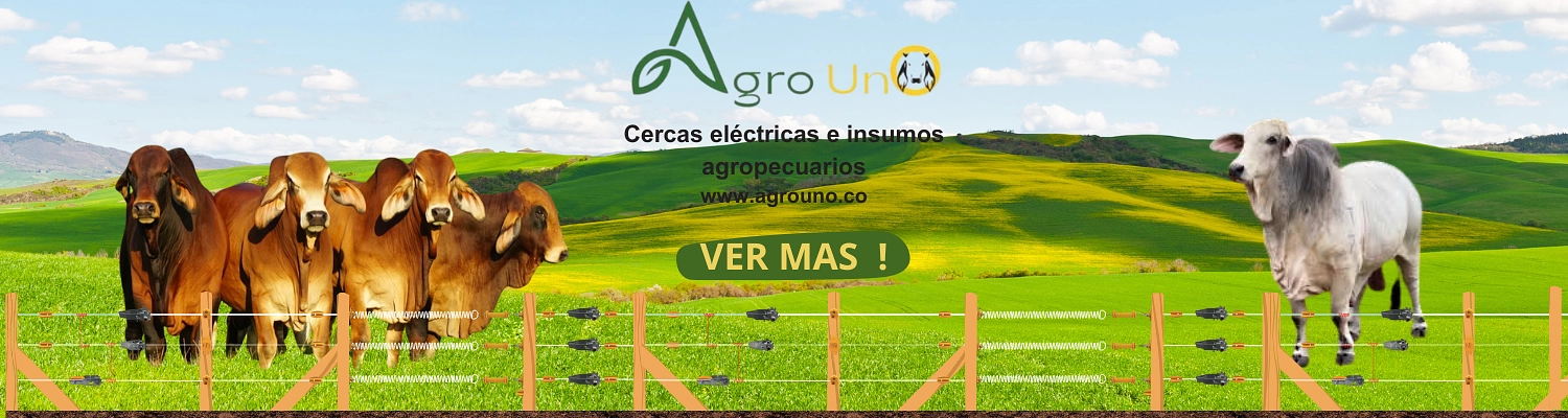 CERCAS ELECTRICAS 